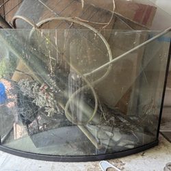 Fish Tank 