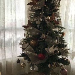 Christmas Tree For Sale 