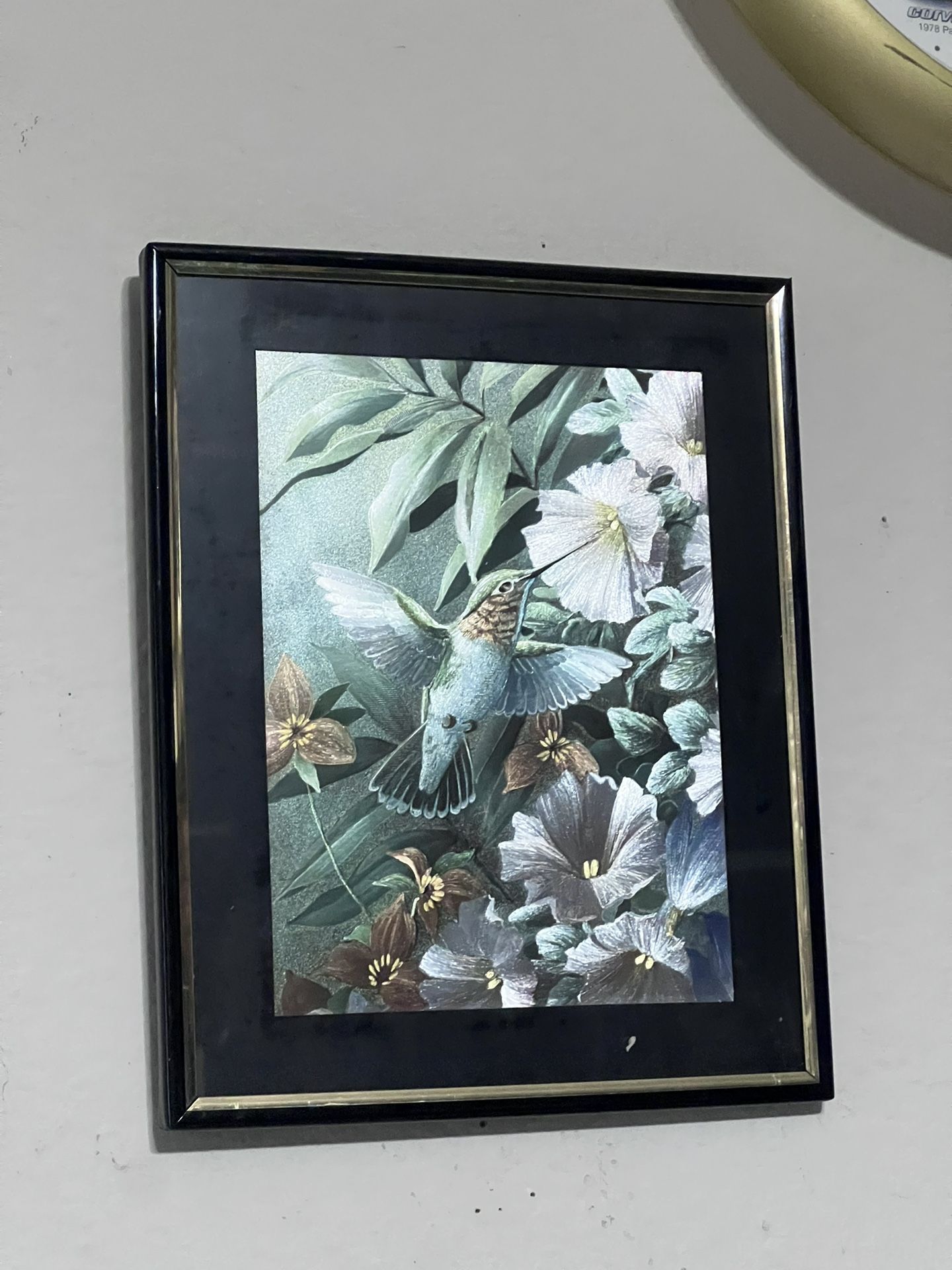 hummingbird metal etching