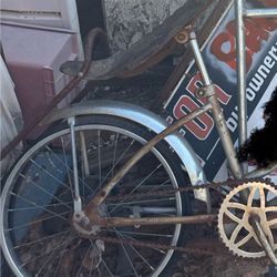 Schwinn Hooptie Bike