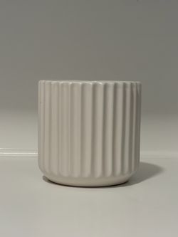 West Elm CB2 Pot Planter Vase Modern Ribbed