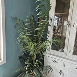 Faux Plant