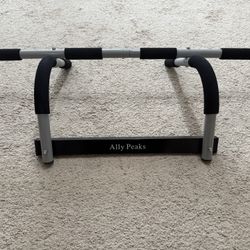 Pull Up Bar