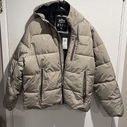 Hollister Jacket For Men