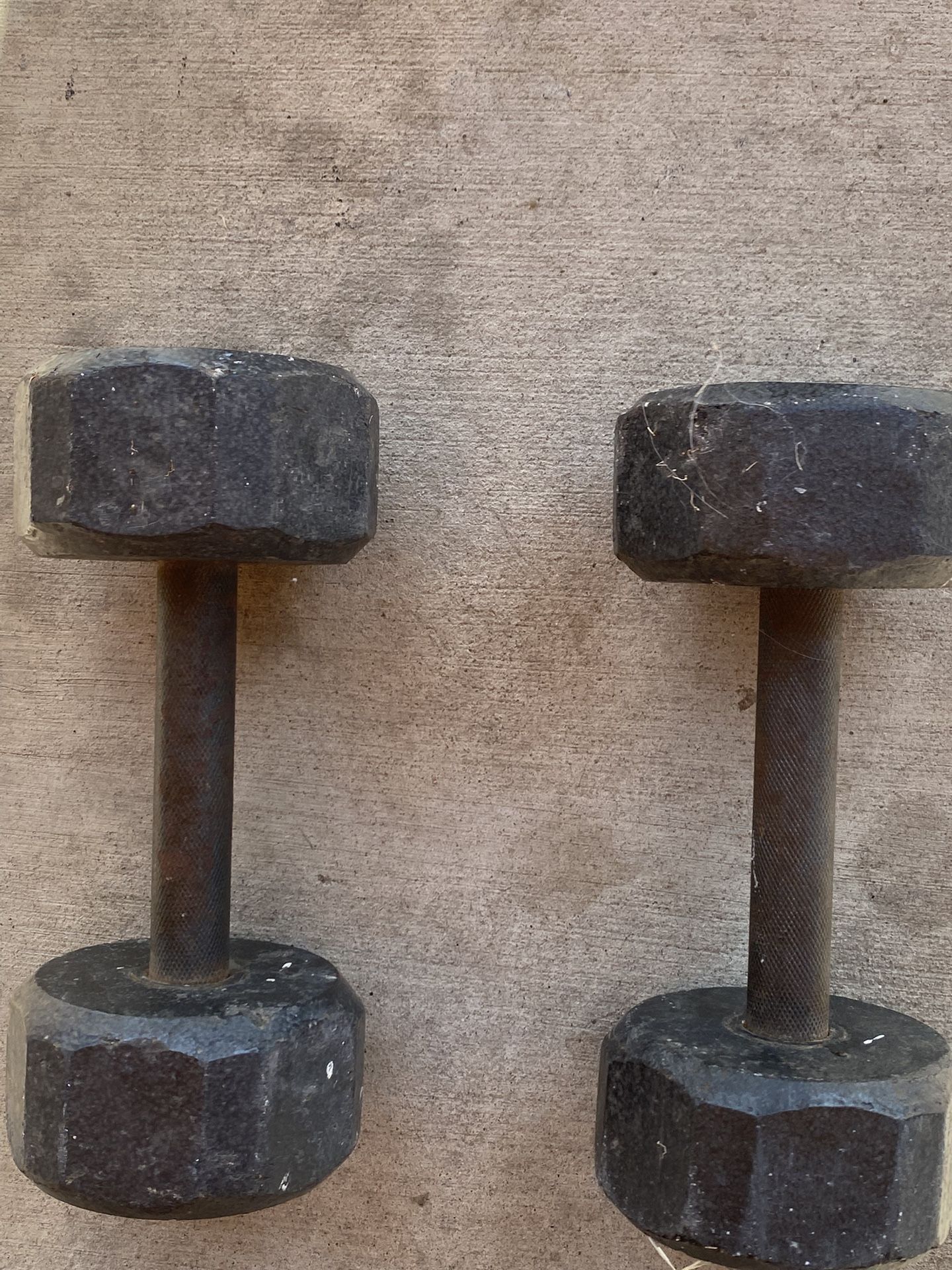 10 Pound Dumbbell Pair