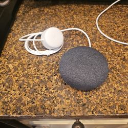 Nest Mini Speaker