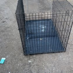 Big Dog Cage 