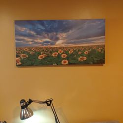 Canvas Picture