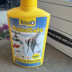 Fish Tank & Accessories 