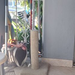 Cat Scratcher Post