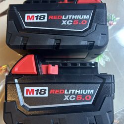 Milwaukee M18 18-Volt Lithium-lon XC Extended Capacity 5.0 Ah Battery Pack (2-Pack)