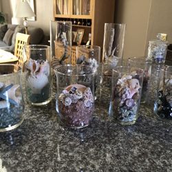 Decorative Seashell Arrangements 