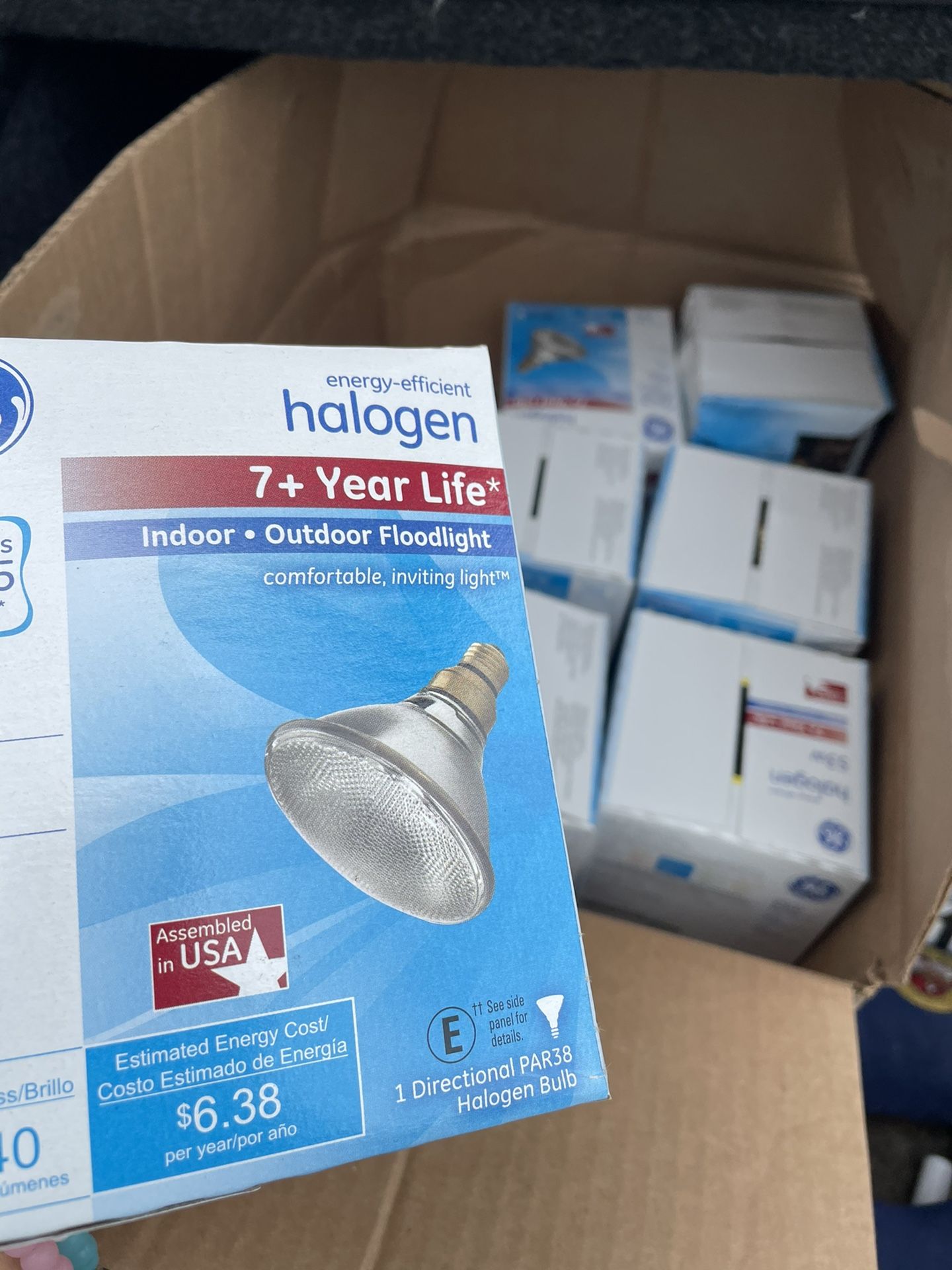 Outdoor/ Indoor Light Bulbs