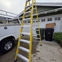 WESTWARD Stepladder 