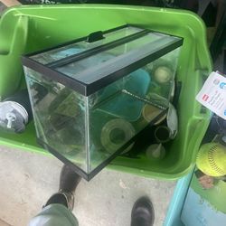 Fish Tank Size 10gal And 5 Gal