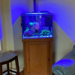 40 Gallon Reef Aquarium