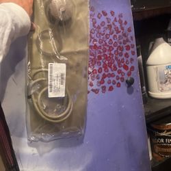 Bladder, Hydration System 