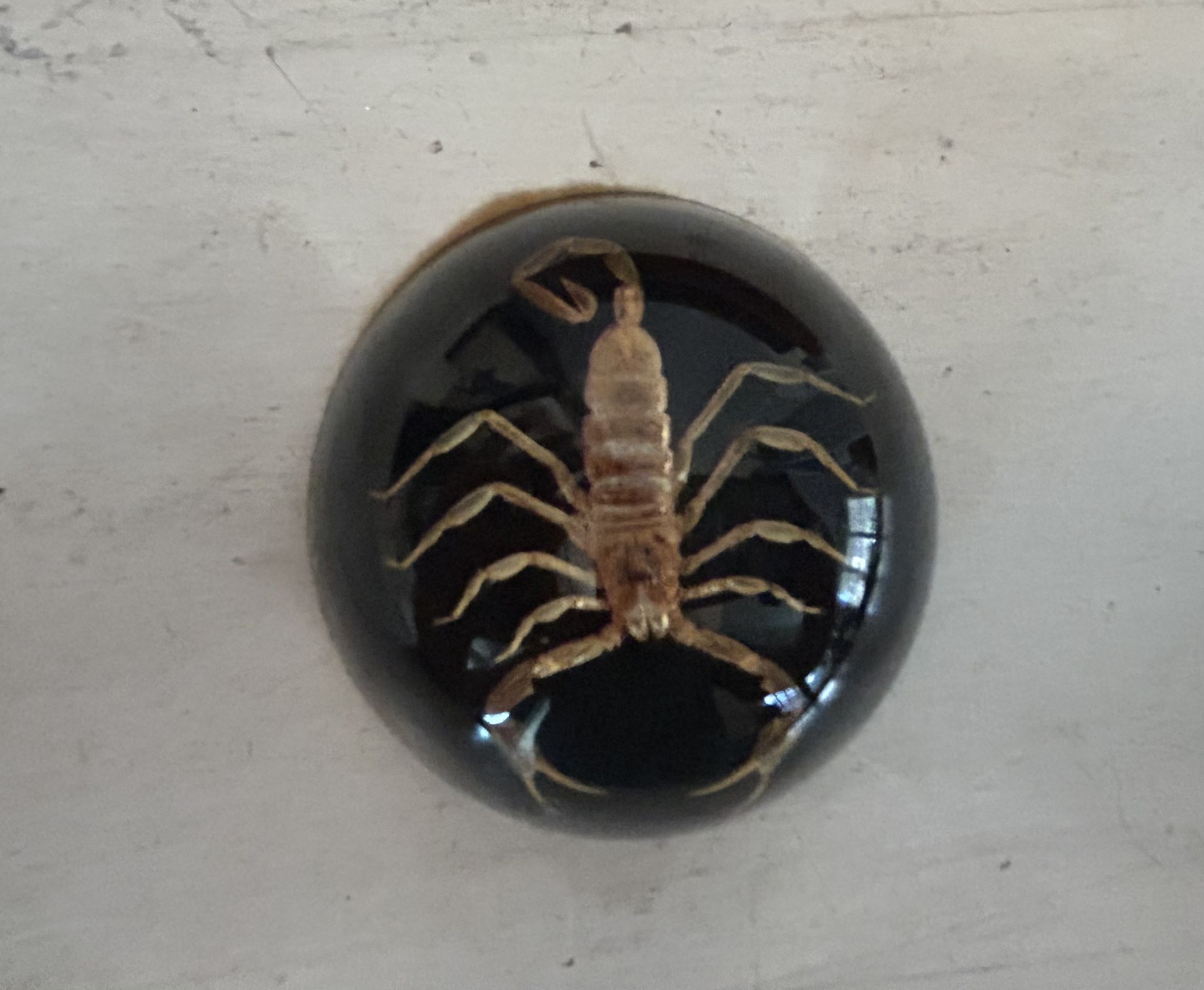 Vintage Scorpion Paperweight