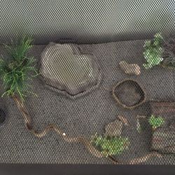 Reptile Tank Setup – All-Inclusive with Lamp - $70 (Rio Rancho/Albuquerque)