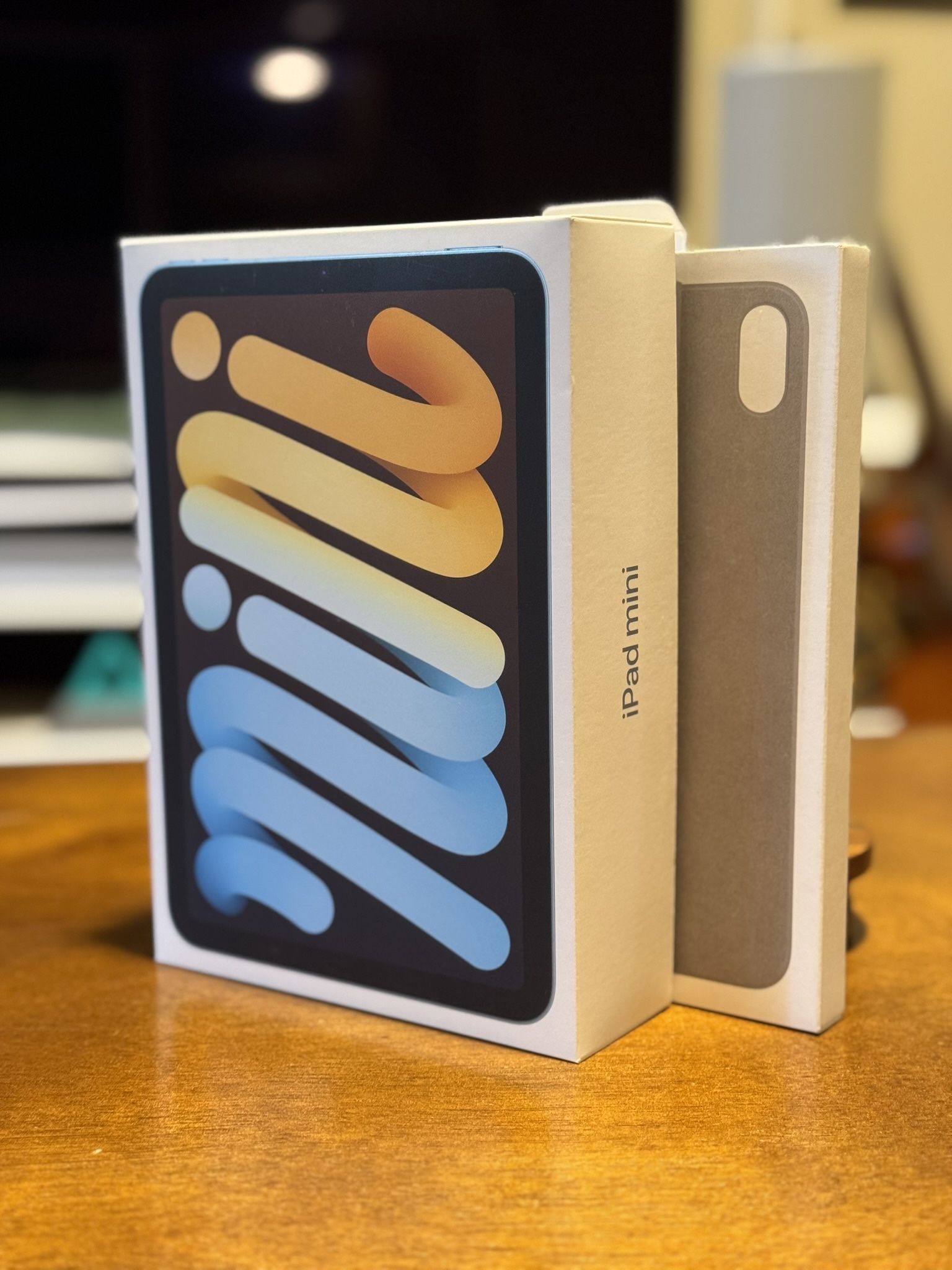 iPad mini (A17 Pro) + Smart Folio (Sage)