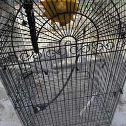 Bird Cage For Sale 