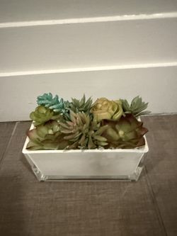 Artificial Succulent Arrangement in White Planter Box