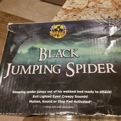 Halloween Jumping Spider