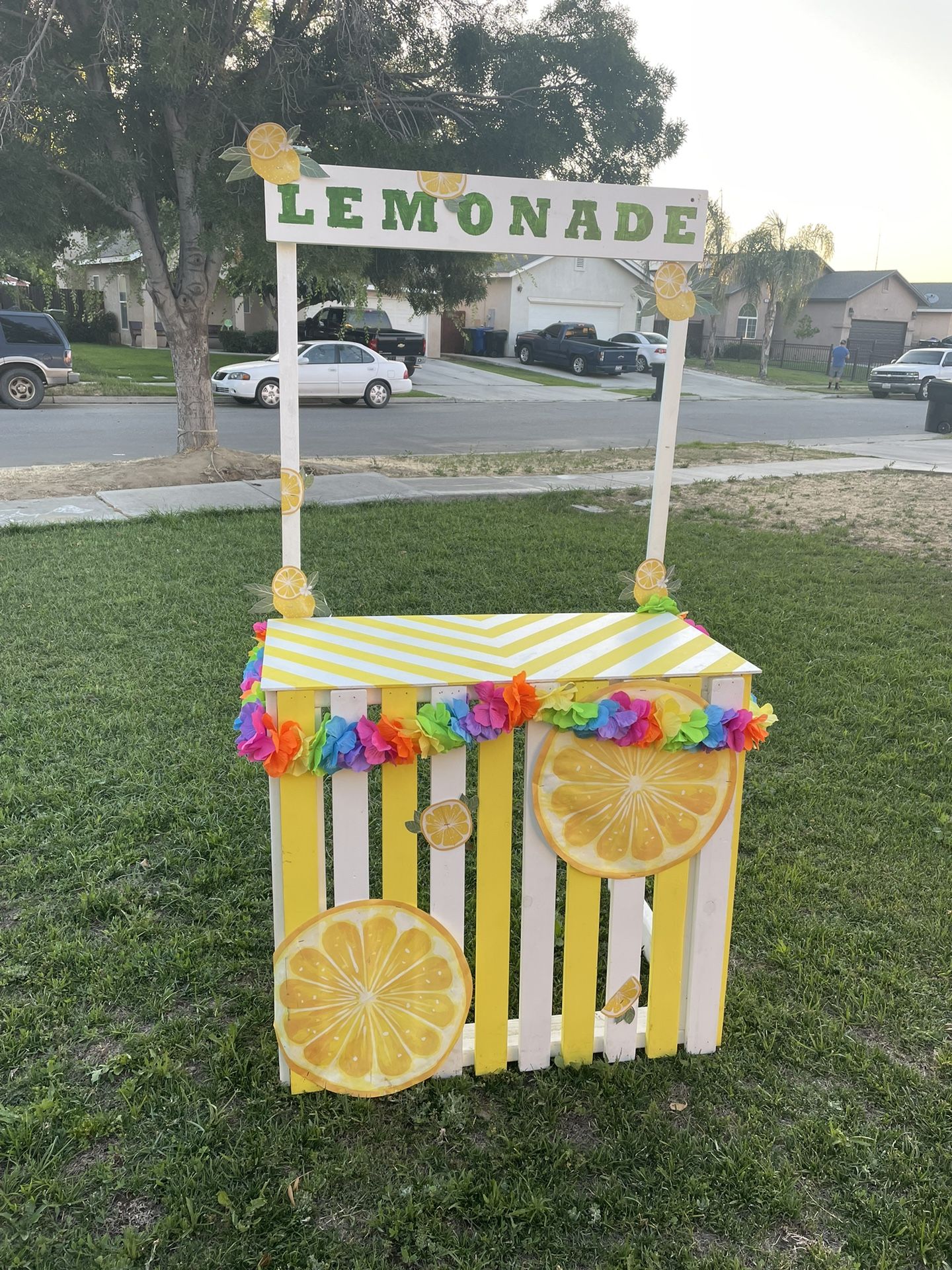 Lemonade Stand (homemade)