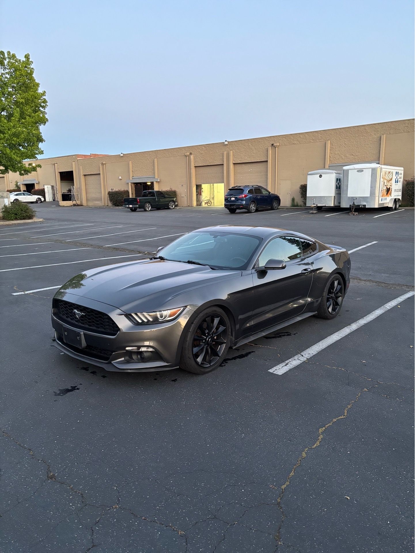 2016 Ford Mustang