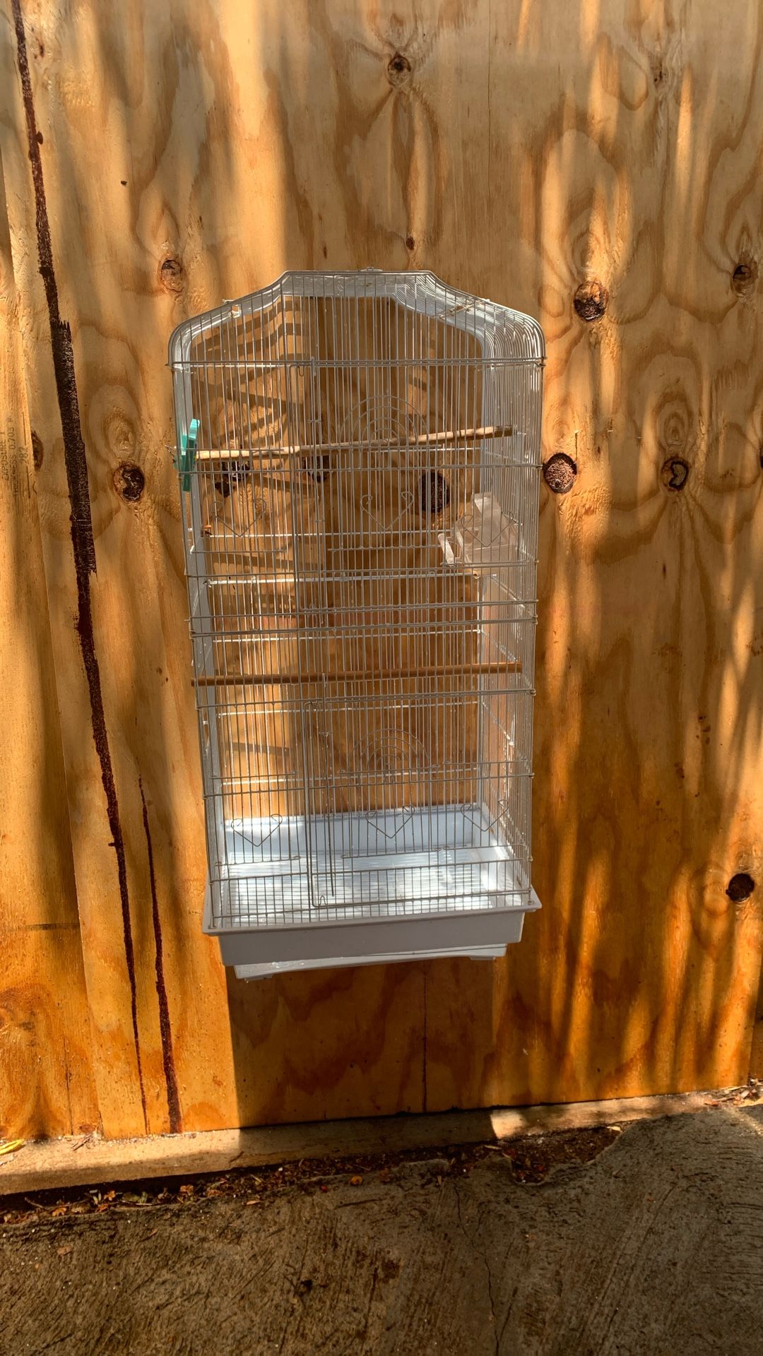Bird Cage