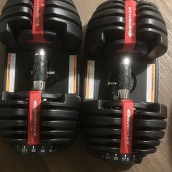 Bowflex Adjustable Weight Set 