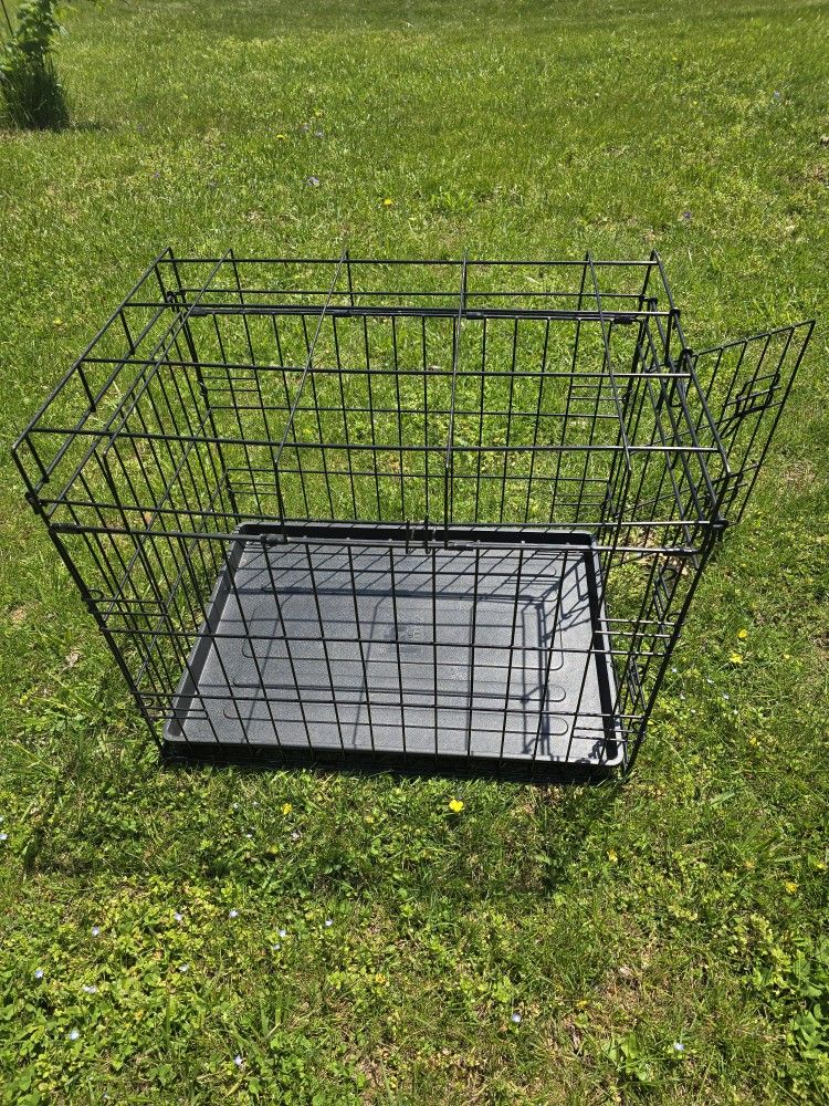 Dog Cage