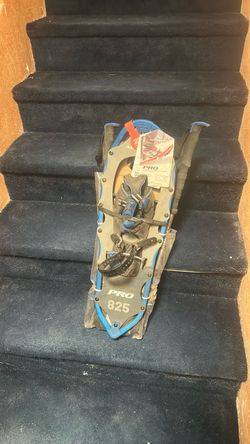 Snow shoes