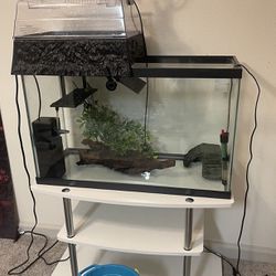 Complete Turtle Fish Aquarium Set With Decor, Filter, Wood, Heater And Pebble Substrate 