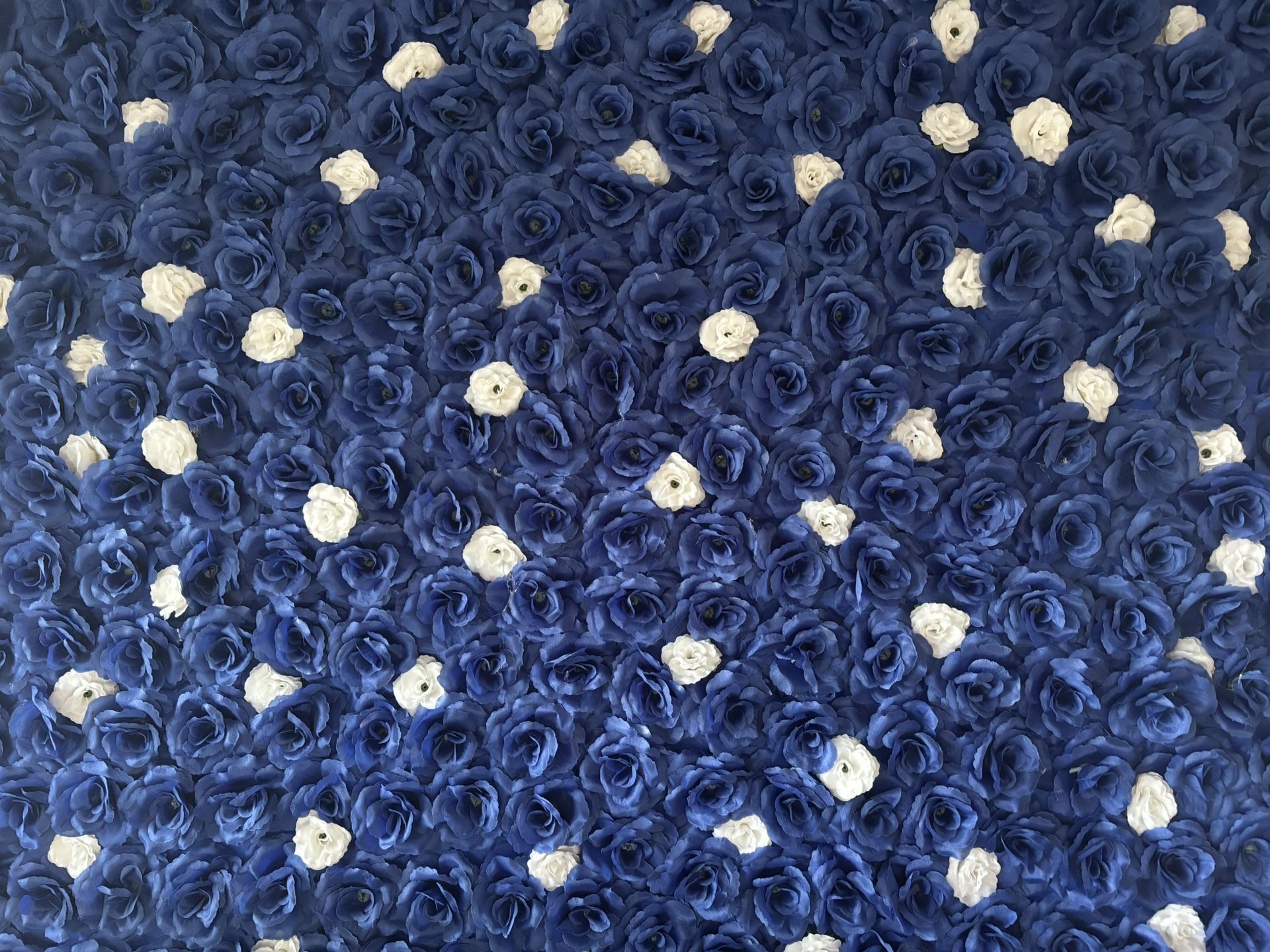 Royal Blue Flower Wall
