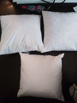 Feather pillows 20x20 20x21