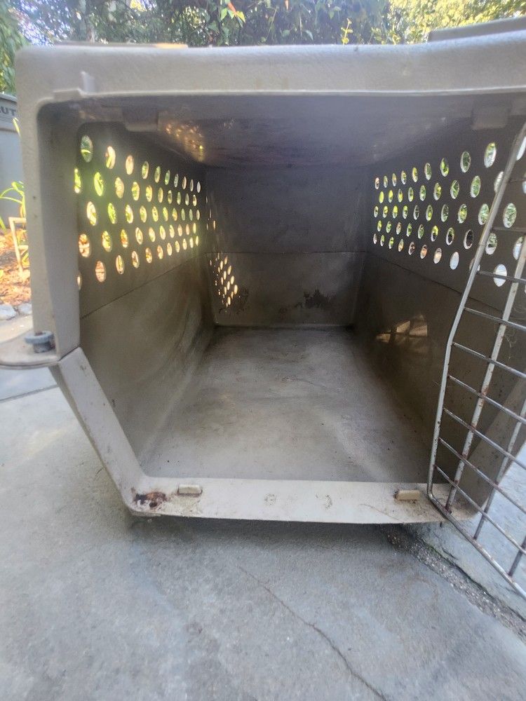 Dog Home