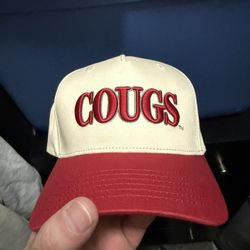 SnapBack And Fitted Hats 