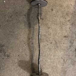 Curl Bar
