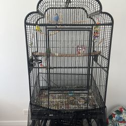 Large iron birdcage 