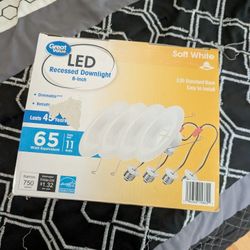 Recessed Downlight 6 Inch Light 