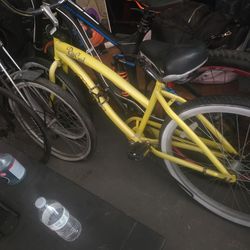 Rip Curl Bicycle