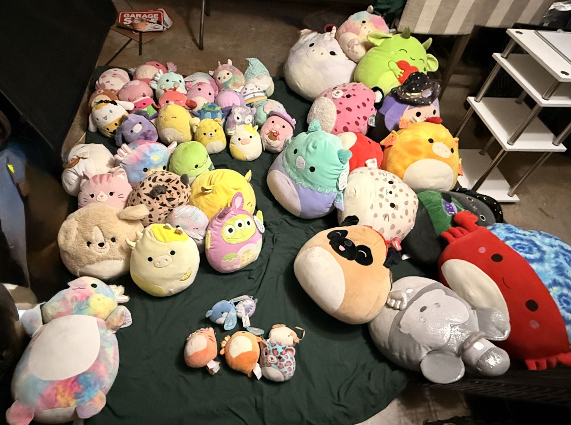 Squishmallows!