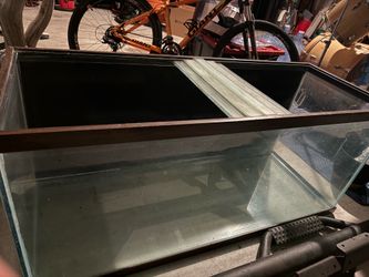 75 gallon aquarium