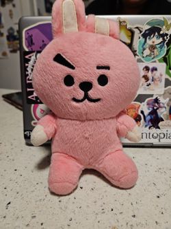 BTS Cooky