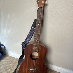 Kala baritone ukulele 