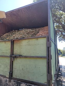 Free Wood Chip