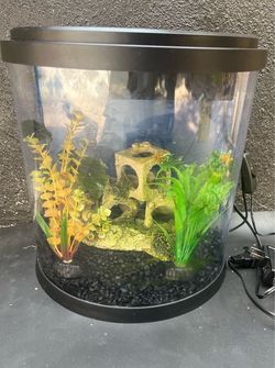 Free Fish Tank Aquarium with Filter, Light & Accessories