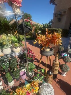 Plants $5-20