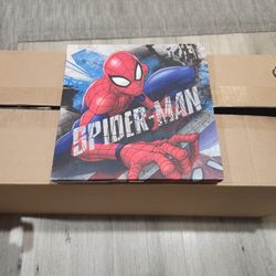 Spiderman Canvas Art Frame